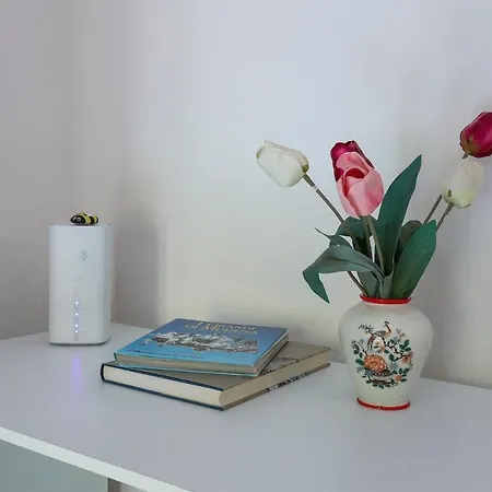 Vicino L'ospedale Con Parcheggio Gratuito *